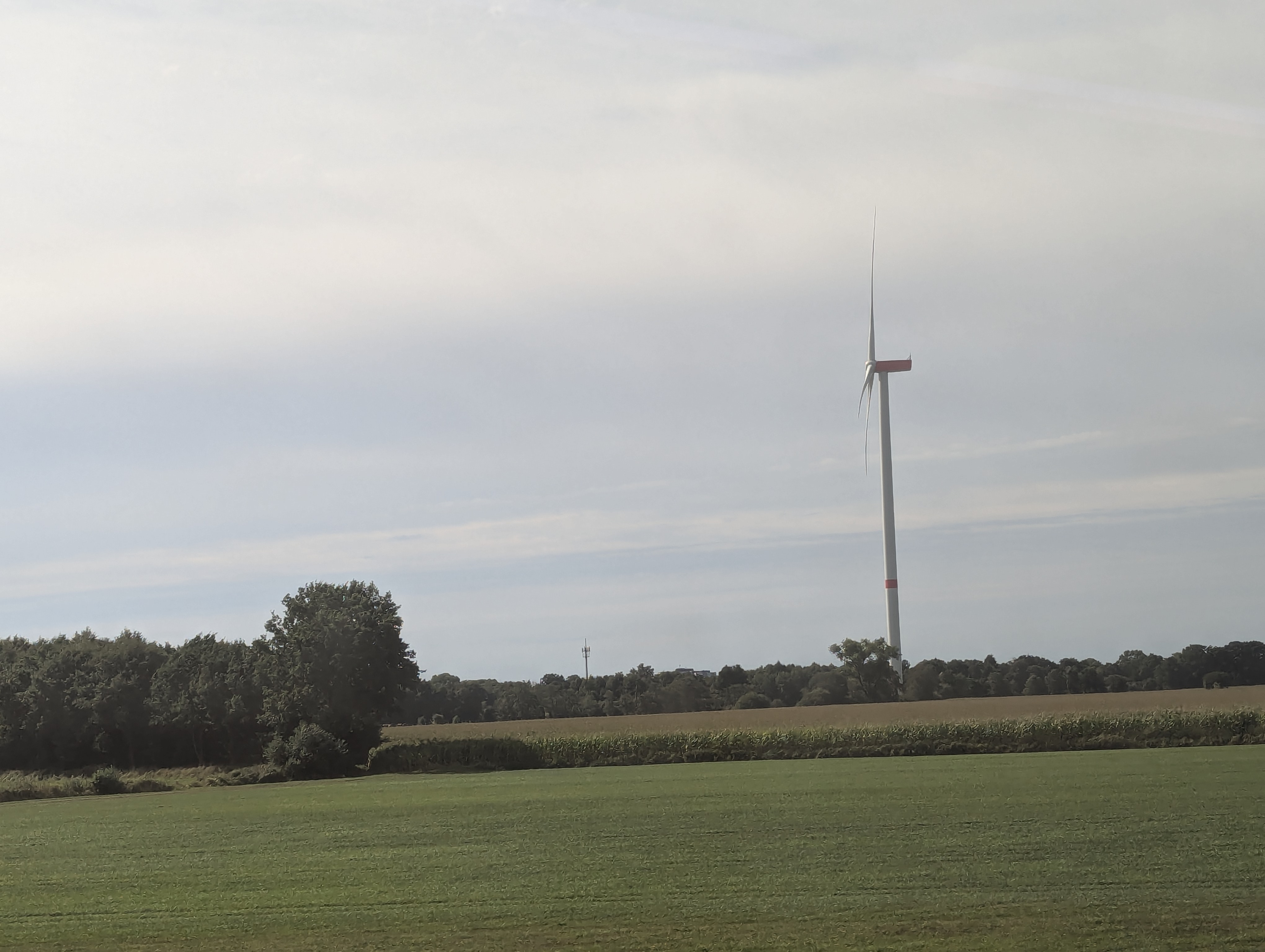 Train to Muenster, Germany